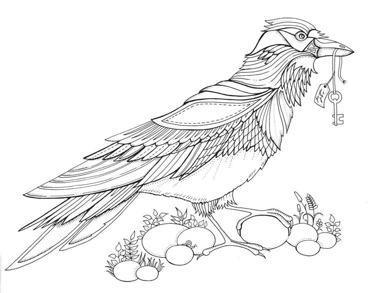 736x587 55 Best Artist Johanna Basford Coloring Images