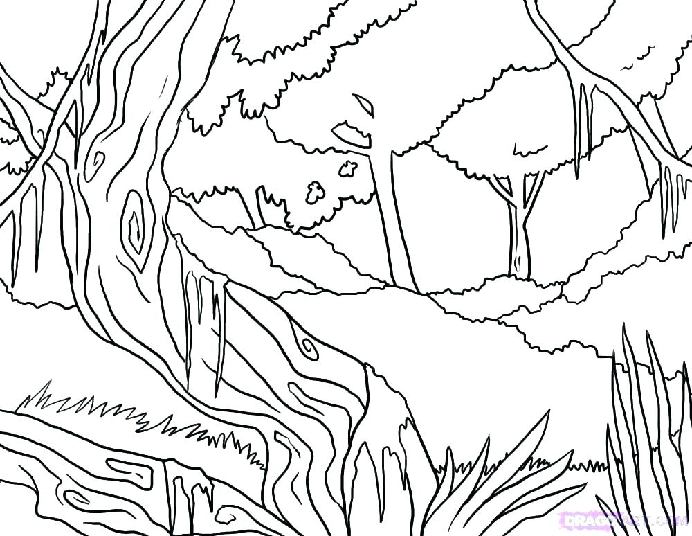 1000x774 Forest Coloring Pages Images Drawn Forest Colouring Pencil And