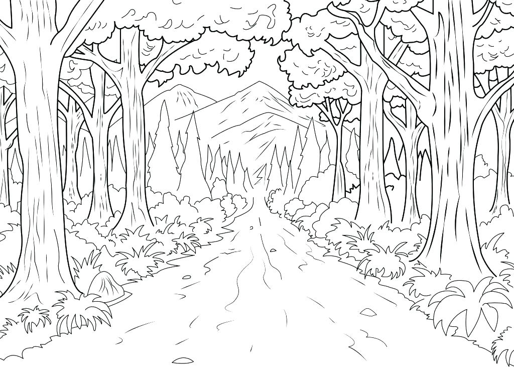 1024x731 Forest Colouring Pages Forest Colouring Pages Coloring Pages