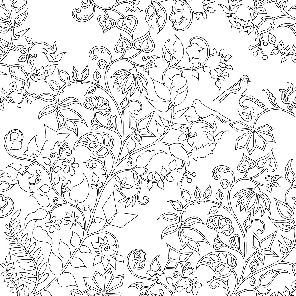 1000x1000 Artist Johanna Basford Enchanted Forest Coloring Pages Garden