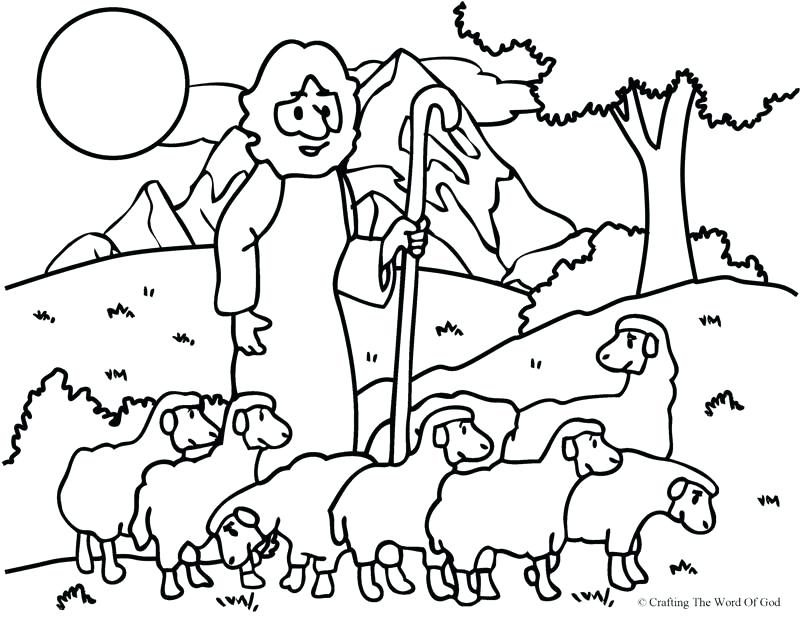 800x617 Sheep Coloring Page The Good Shepherd The Lost Sheep Coloring Page
