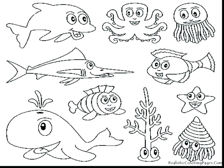 878x658 Endangered Animals Coloring Pages Devon Creamteas