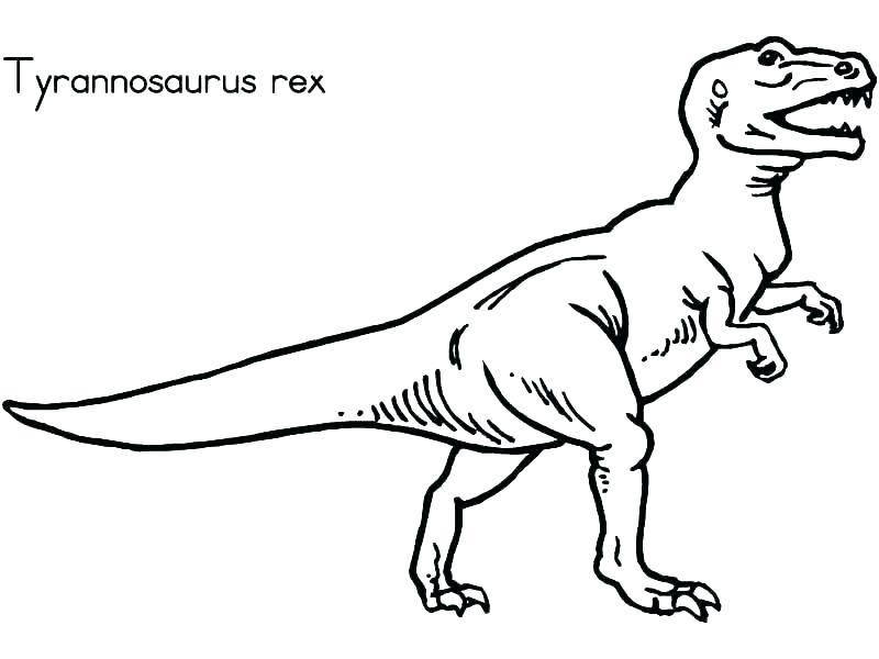 800x600 Endangered Animals Coloring Pages Endangered Species Coloring