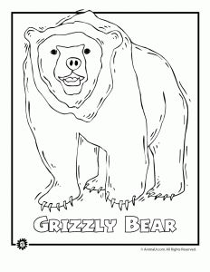 232x300 9 Most Endangered Rainforest Animals Coloring Pages Animal Jr