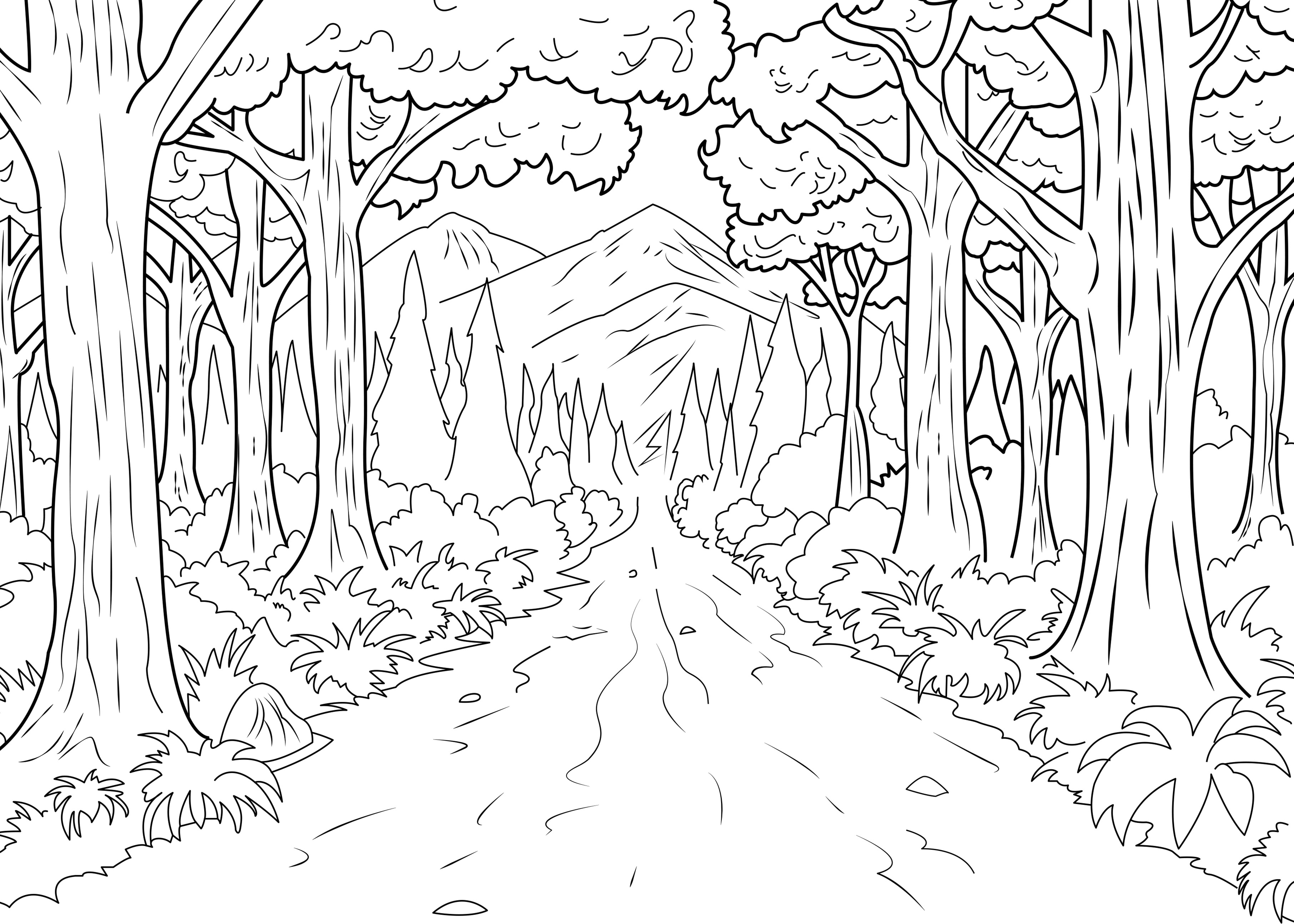Rare Jungle Pictures To Color Energy Forest Celine Coloring Pages 3625x2589 Rare Jungle Pictures To Color Energy Forest Celine Coloring Pages