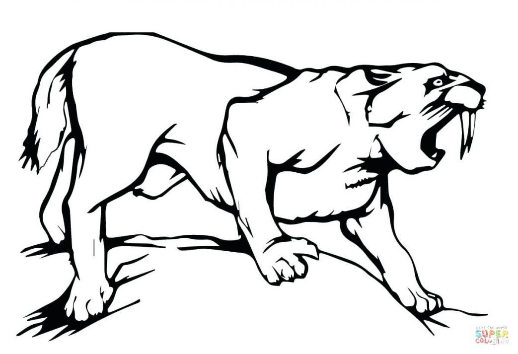 1043x713 Engagement Ring Coloring Page Saber Tooth Tiger Pages Many