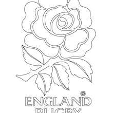 220x220 Rugby Teams Coloring Pages