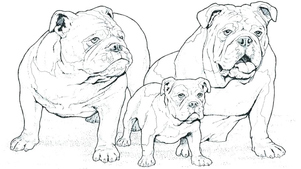 960x540 Bulldog Coloring Pages French Bulldog Coloring Pages Bulldog