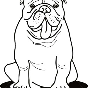 300x300 English Bulldog Face Coloring Pages, Bulldog Puppy Coloring Pages