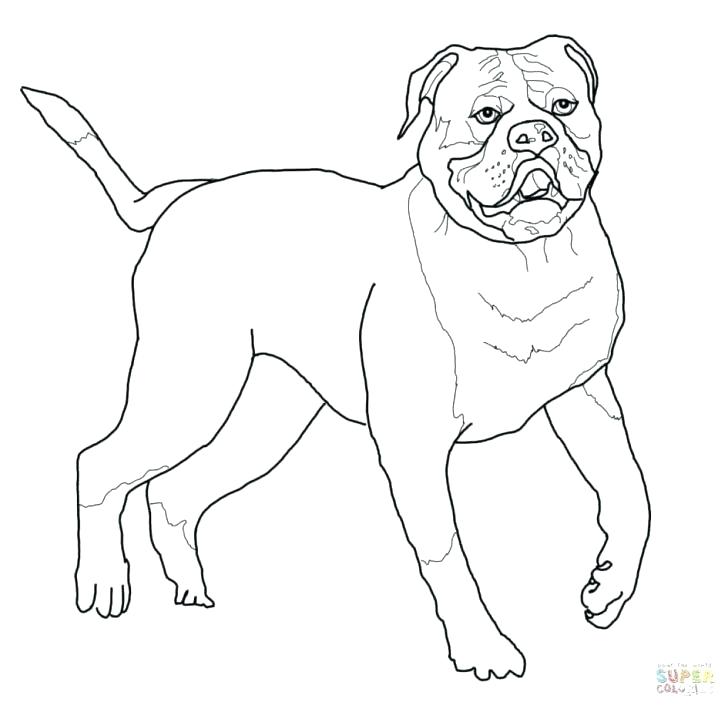728x709 English Coloring Pages Cook Coloring Page A Free Coloring