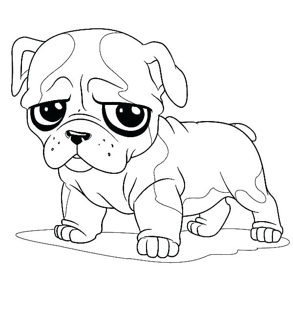 English Bulldog Coloring Pages at GetColorings.com | Free printable ...