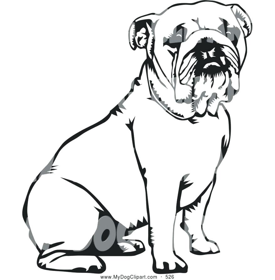 878x895 Georgia Bulldogs Coloring Pages Coloring Pin Bulldog Black