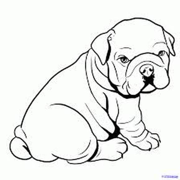 580x580 Bulldog Coloring Pages