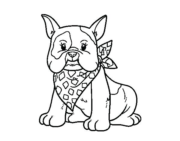 600x470 Bulldog Coloring Page Impressive Bulldog Coloring Pages For Kids