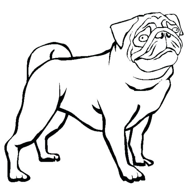 600x614 Bulldog Coloring Pages Awesome Of Bulldog Coloring Pages Gallery