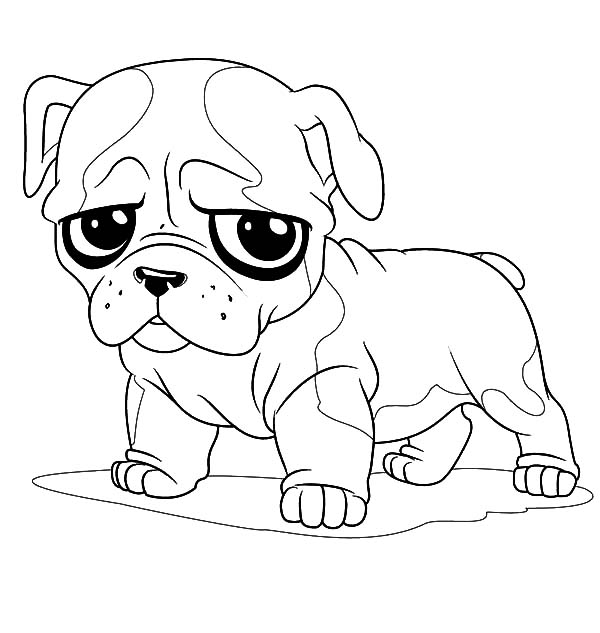 600x633 6 Excellent Bulldog Coloring Pages