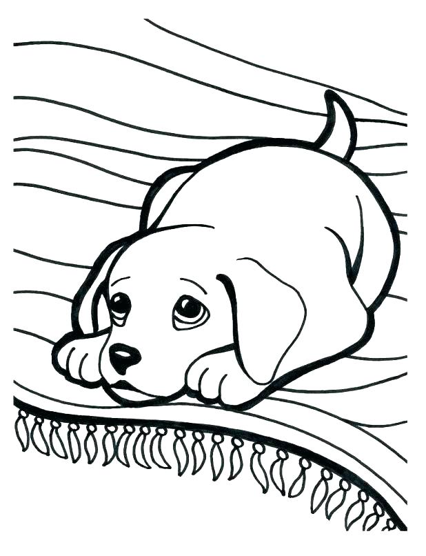 618x806 Free Dog Coloring Pages Dog Coloring Sheets Free Printable Puppy