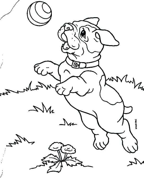 600x753 French Bulldog Coloring Page French Bulldog Georgia Bulldogs