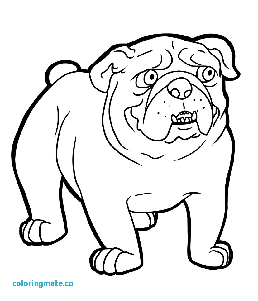 828x966 Great French Bulldog Coloring Pages Picture