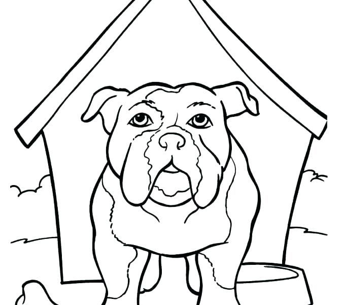 678x600 Bulldog Coloring Page Bulldog Coloring Pages Bulldog For Coloring
