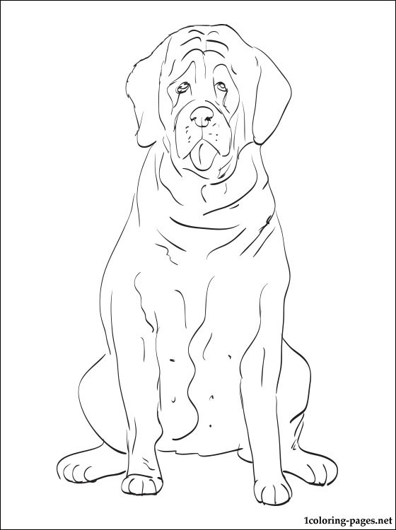 English Setter Coloring Page Coloring Pages 560x750 English Setter Coloring Page Coloring Pages