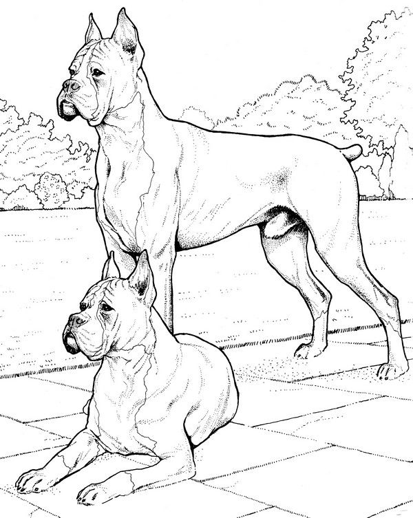 12 Best Coloring Pages Images On Coloring Books 600x753 12 Best Coloring Pages Images On Coloring Books