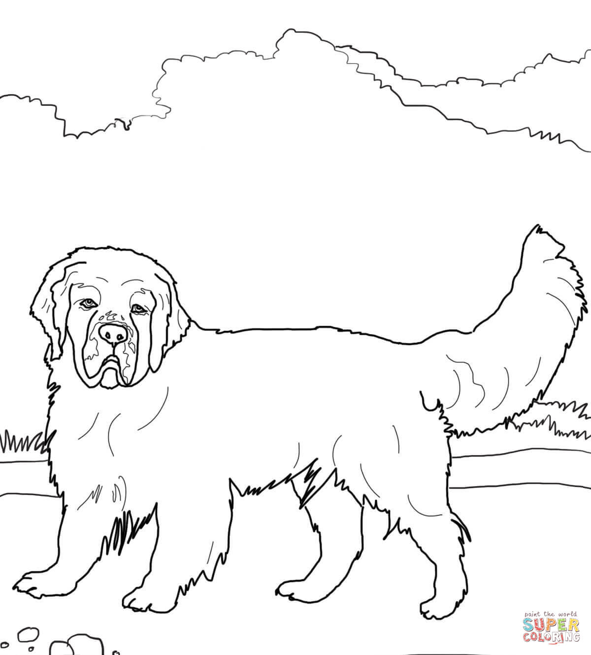 Love English Springer Spaniel Coloring Pages Clumber Page Free 1200x1330 Love English Springer Spaniel Coloring Pages Clumber Page Free