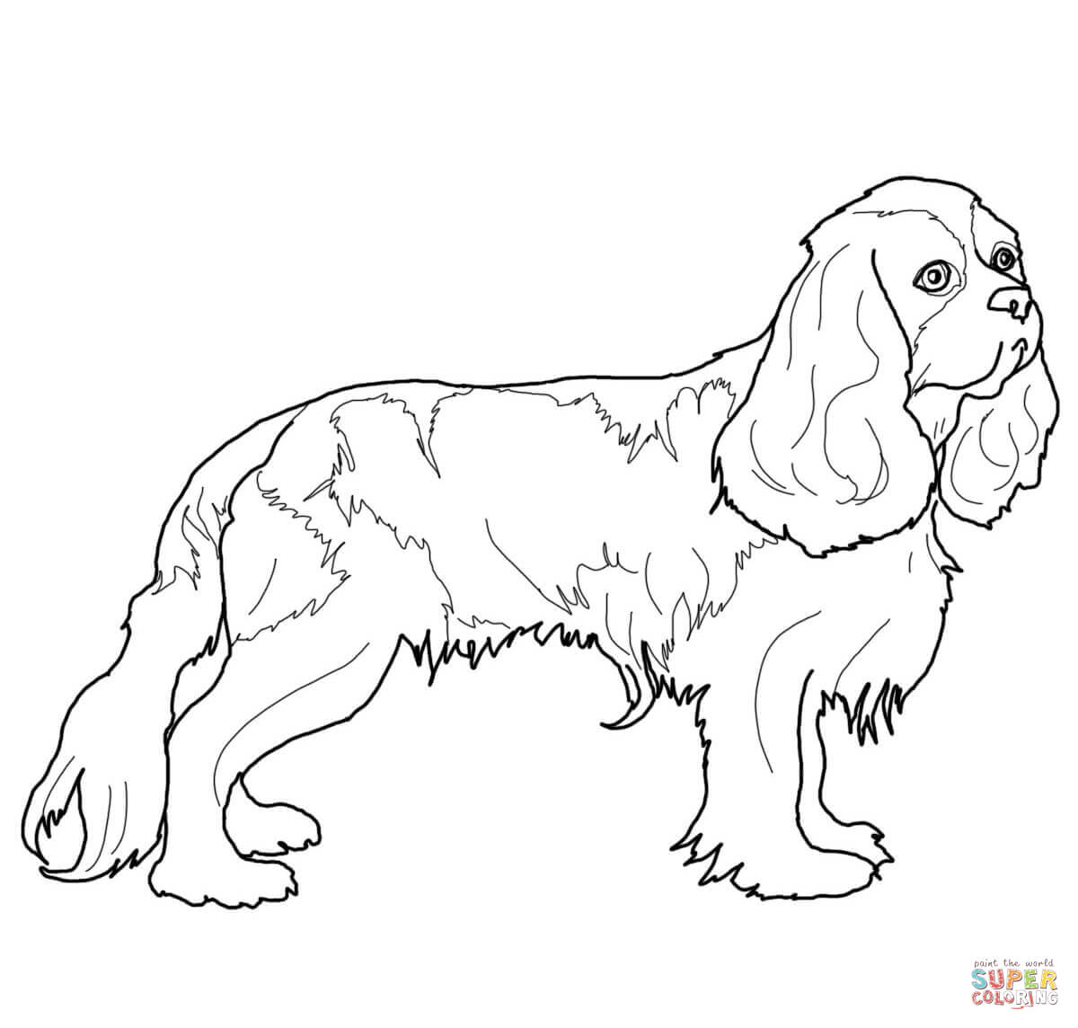 Quality English Springer Spaniel Coloring Pages Page Free 1200x1144 Quality English Springer Spaniel Coloring Pages Page Free