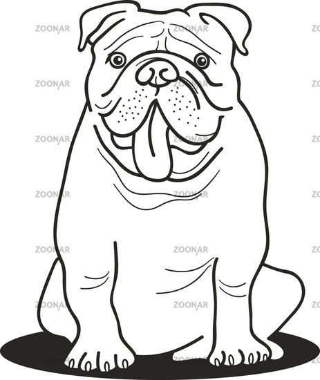 Bulldog Coloring Pages Bulldog For Coloring Book Embroidery 463x550 Bulldog Coloring Pages Bulldog For Coloring Book Embroidery