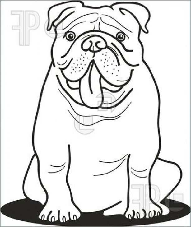 95 Best Color Pages Images On English Bulldogs, Animal 614x730 95 Best Color Pages Images On English Bulldogs, Animal