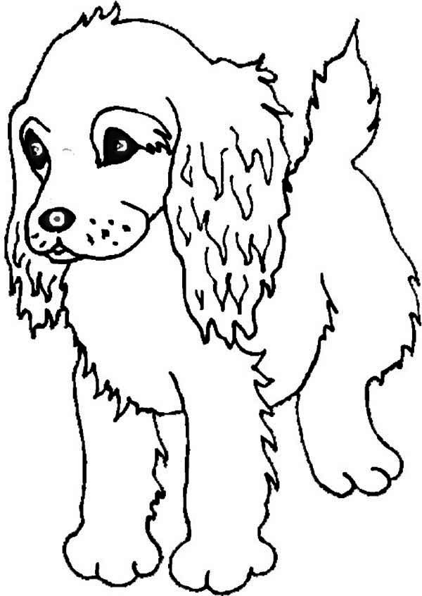 Boykin Spaniel Puppy Coloring Page Free,puppies Coloring Pages 600x846 Boykin Spaniel Puppy Coloring Page Free,puppies Coloring Pages