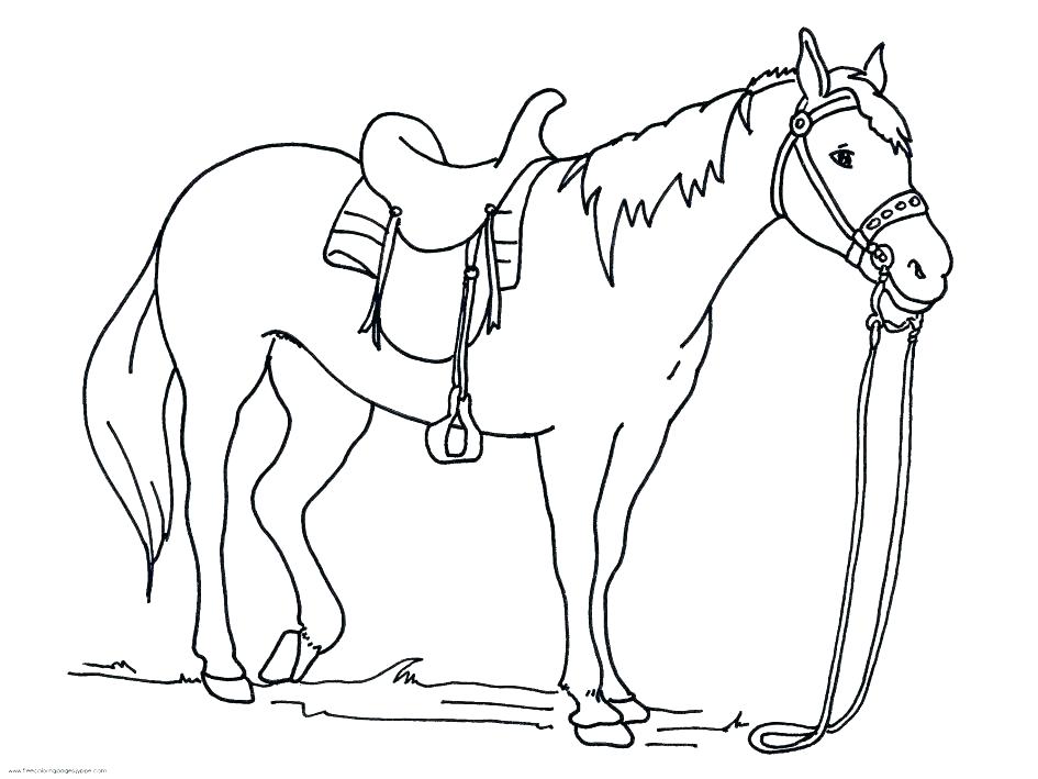 Coloring Pages For Horses Coloring Page Horses Horse Coloring 945x709 Coloring Pages For Horses Coloring Page Horses Horse Coloring