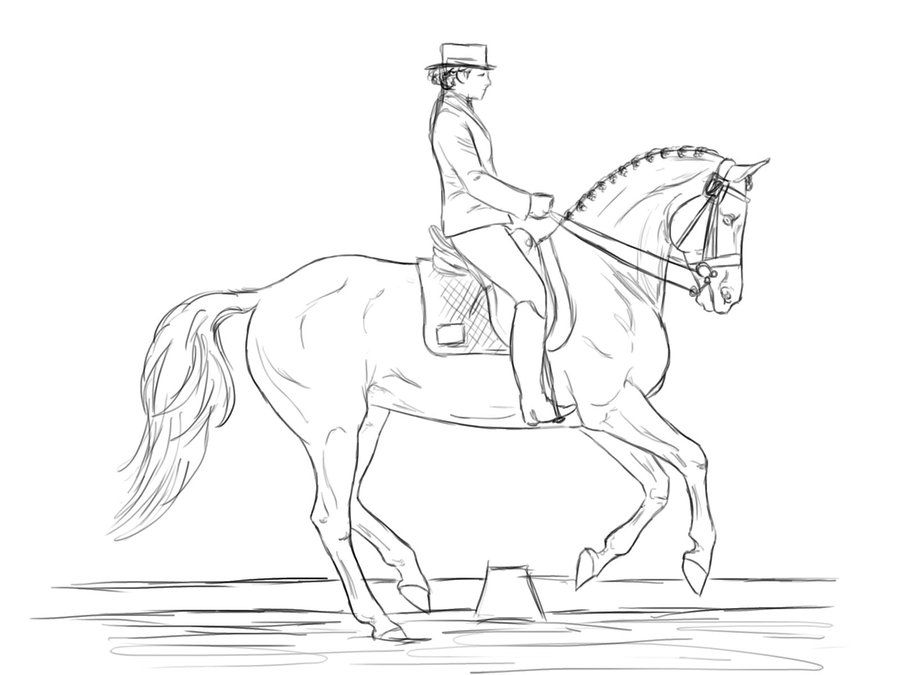 Dressage Horse Coloring Pages Friesians Dressage 900x675 Dressage Horse Coloring Pages Friesians Dressage