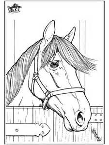 Free Horse Pictures To Color Horse Coloring Page 1 232x300 Horse 225x300 Free Horse Pictures To Color Horse Coloring Page 1 232x300 Horse