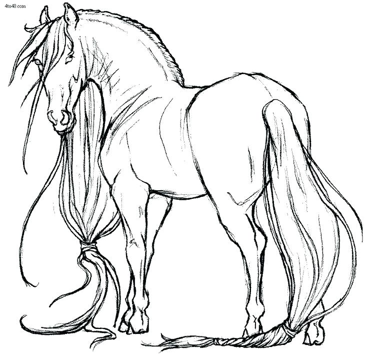 Horse Coloring Book Also Coloring Horse Pages Horse Coloring Pages 736x707 Horse Coloring Book Also Coloring Horse Pages Horse Coloring Pages