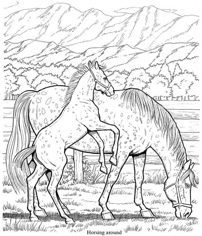 Welcome To Dover Publications Wonderful World Of Horses Coloring 650x762 Welcome To Dover Publications Wonderful World Of Horses Coloring