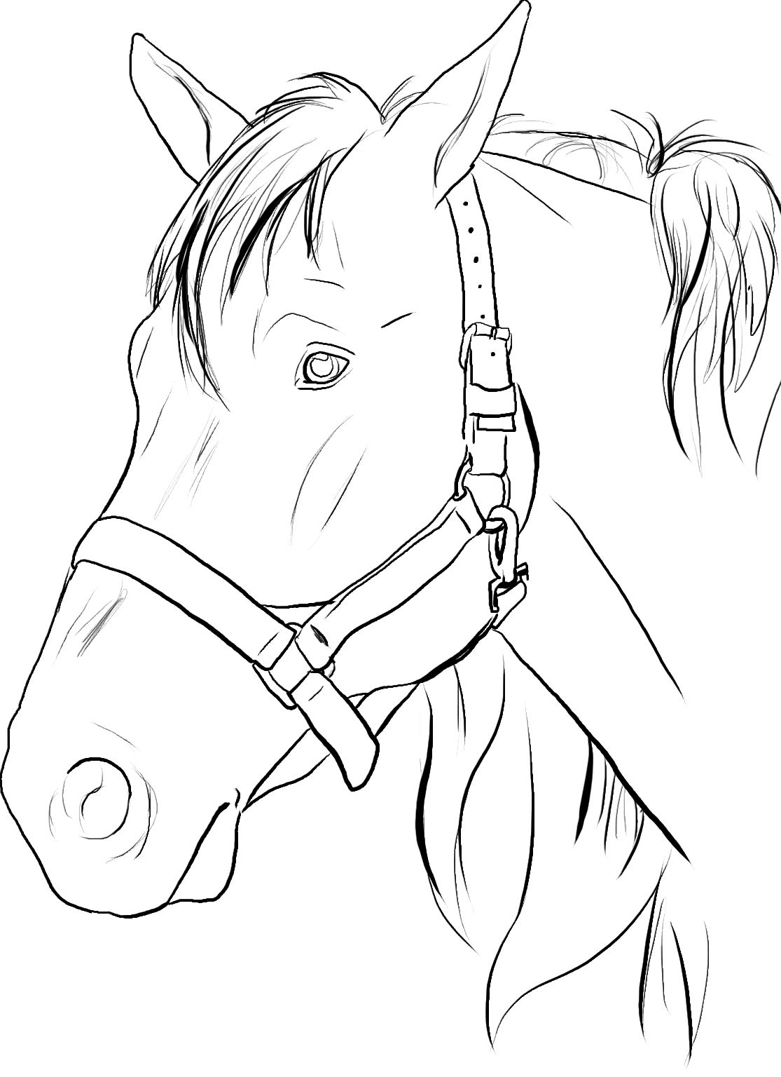 Horse Head Coloring Pages To Print 1115x1536 Horse Head Coloring Pages To Print