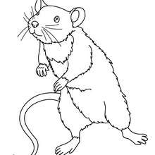 220x220 Mouse Moves Eraser Coloring Pages