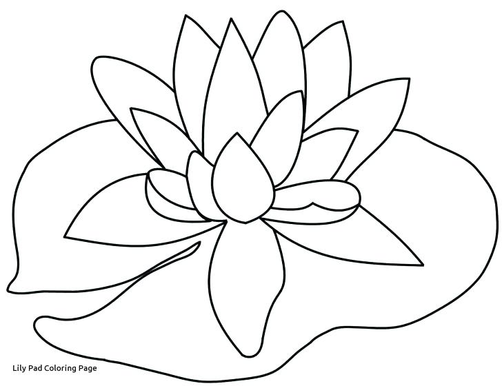 728x560 Pencil Sharpener Colouring Page Coloring For Sweet Draw Pencils