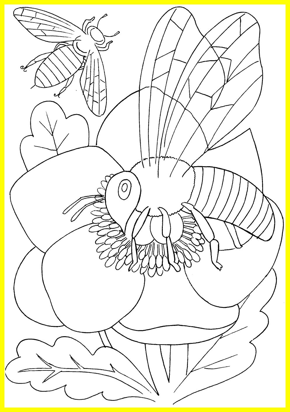 Erosion Coloring Pages at GetColorings.com | Free printable colorings