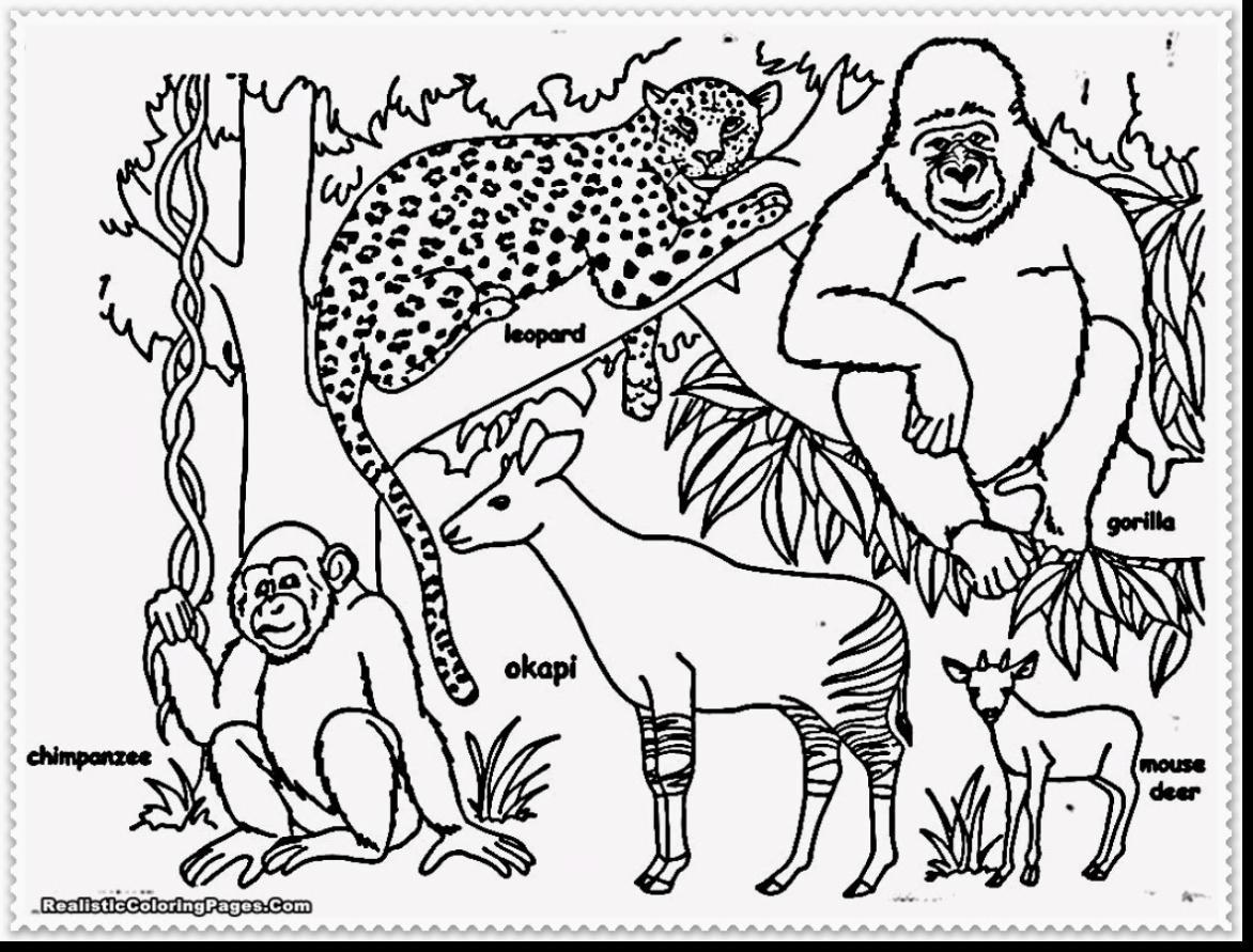 Fascinating Cartoon Jungle Coloring Pages Alphabrainsznet Pics 1172x891 Fascinating Cartoon Jungle Coloring Pages Alphabrainsznet Pics