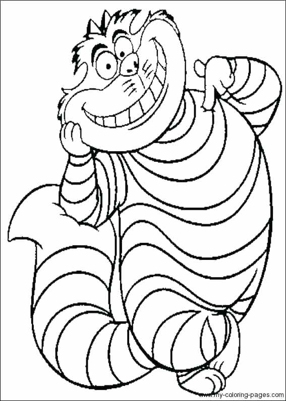 Ever After High Kitty Cheshire Coloring Pages Kids Coloring Cat 567x793 Ever After High Kitty Cheshire Coloring Pages Kids Coloring Cat