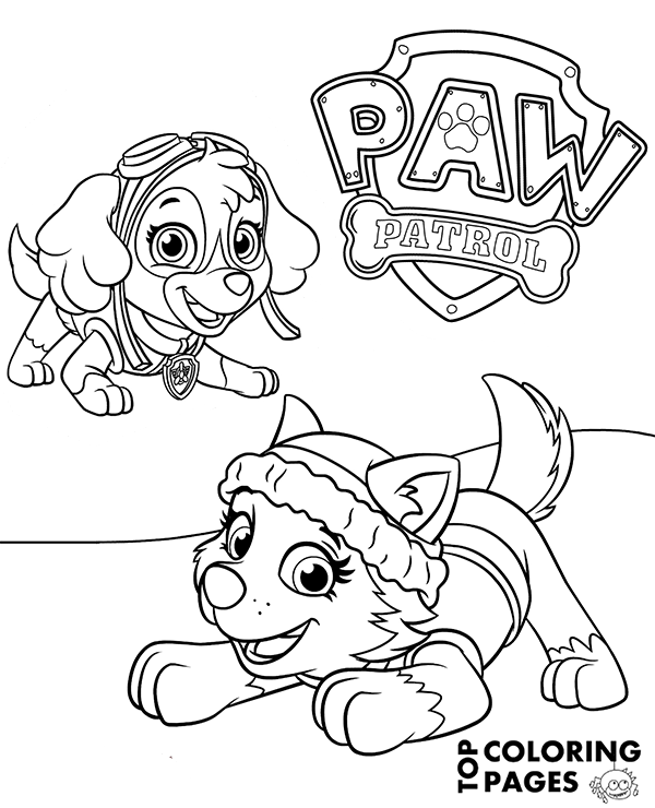 600x740 Everest And Skye On Printable Paw Patrol Coloring Page