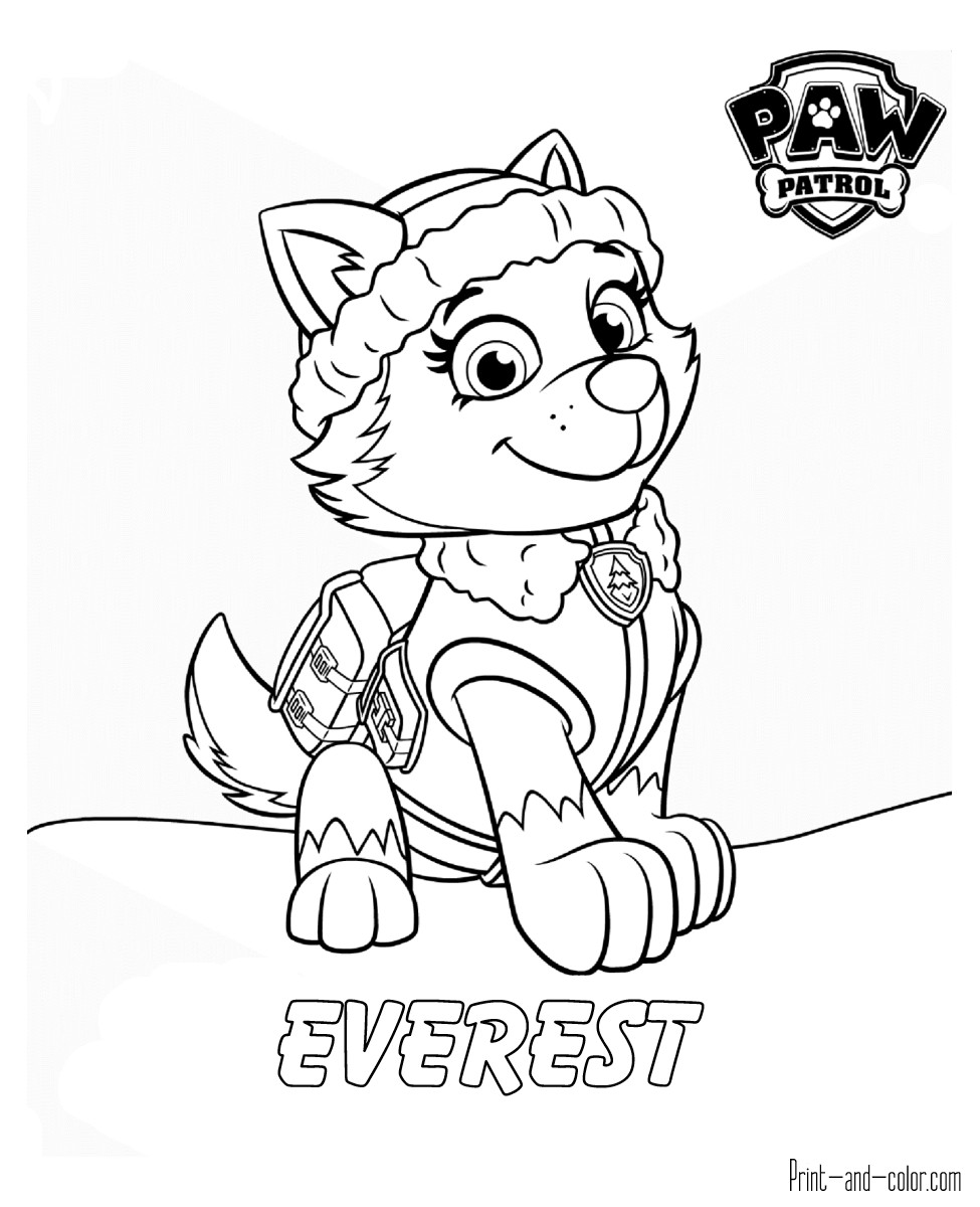 975x1200 Paw Patrol Coloring Pages Print And Color Com Cool Everest Mosm