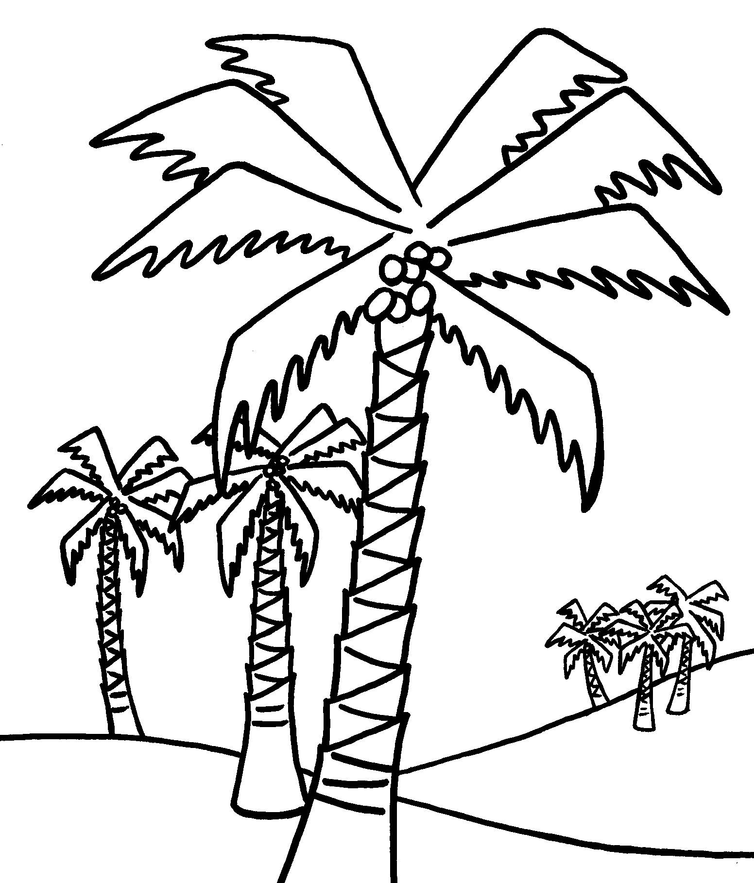 1552x1818 New Coloring Pages Evergreen Trees