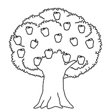 Top 25 Tree Coloring Pages For Your Little Ones 230x230 Top 25 Tree Coloring Pages For Your Little Ones