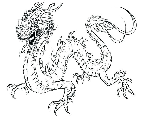 618x494 Free Realistic Dragon Coloring Pages Baby To Print Out Tone
