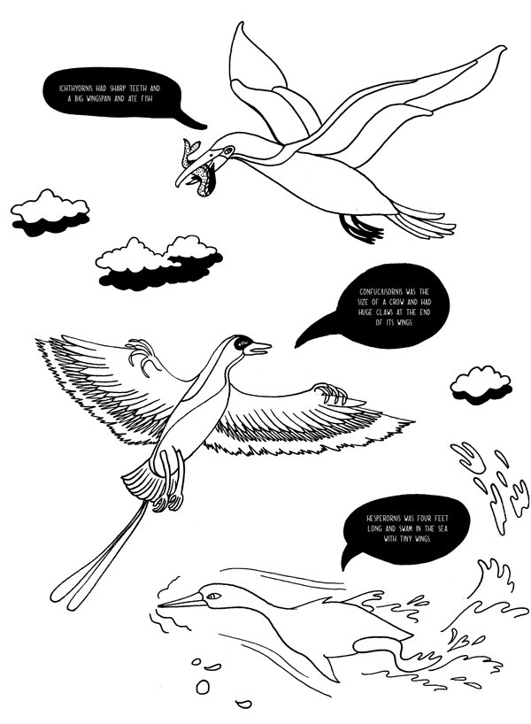 600x818 Human Evolution Colouring Book Marvelous The Human Evolution