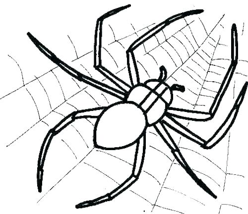 Ewok Coloring Pages Spider Coloring Pages Spider Coloring Book 500x432 Ewok Coloring Pages Spider Coloring Pages Spider Coloring Book