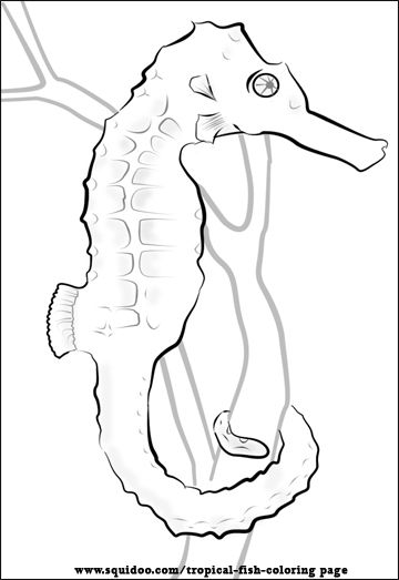 Tropical Fish Coloring Page Tropical Fish, Fish And Seahorses 360x523 Tropical Fish Coloring Page Tropical Fish, Fish And Seahorses
